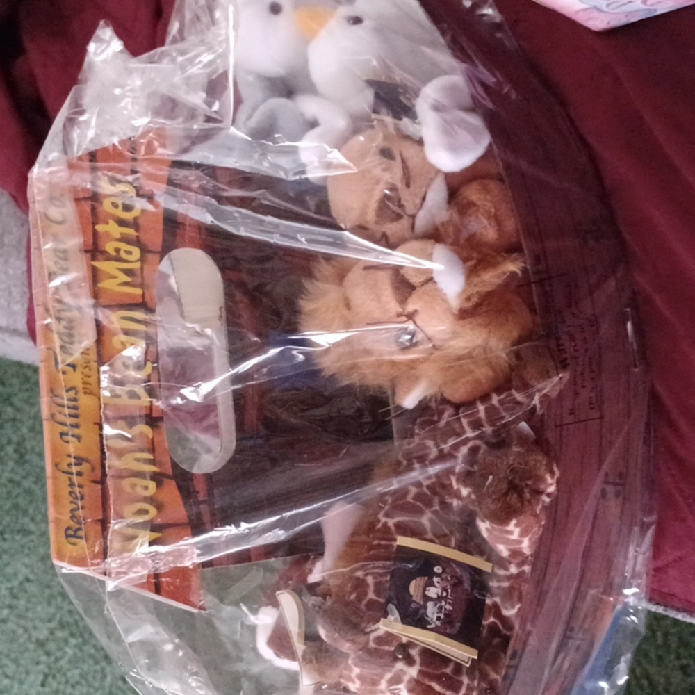 Beverly hills teddy bear Co noahs ark